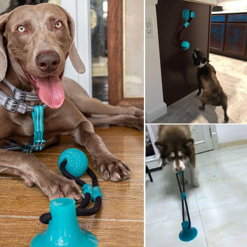 Flexible Pet Molar Bite Toy Suction Cup Dog Toy With Ball Teeth Cleaning - Elastic Rubber Chew Ball Dog Interactive Toys (6W2)(2W3)(F73)