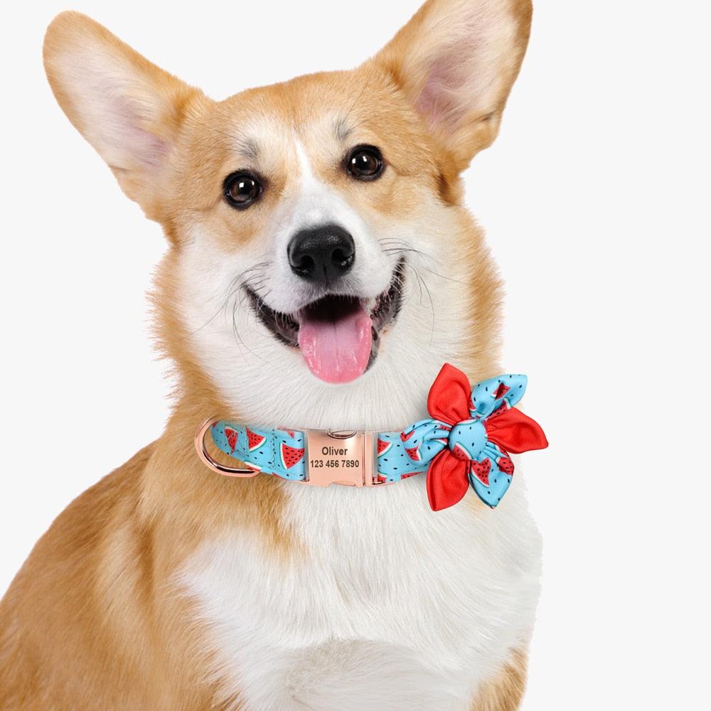 Floral Personalized Dog Collar - Fruit Printed Customized Pet ID Collars Free Engraving Dog Accessories (D70)(1W1)