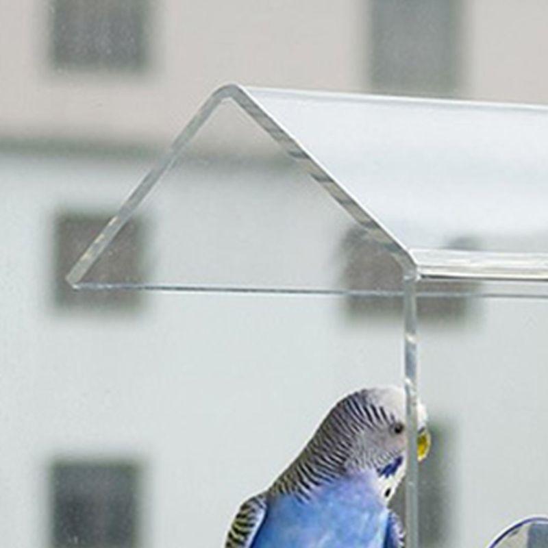 House Styling Hanging Bird Parrot Feeder Clear Glass Window Seed Tray Pet Feeding Accessories (9W4)(F76)