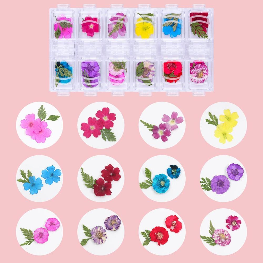 Nail Dried Flowers Nail Art with Clear Poly Nail Gel 50ML, 36 Colors Mini Real Dry Flowers (D85)(N2)(N7)(1U85)