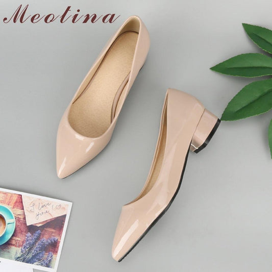 Trending Women Pumps Pointed Toe Thick Heels Shoes - Spring Low Heels - Slip On Casual (D37)(SH3)(WO3)(SH1)