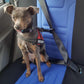 Vehicle Car Dog Seat Belt Lock Harness Collar Clip Pet - Dog Car Seat Belt Harness (D70)(5W1)