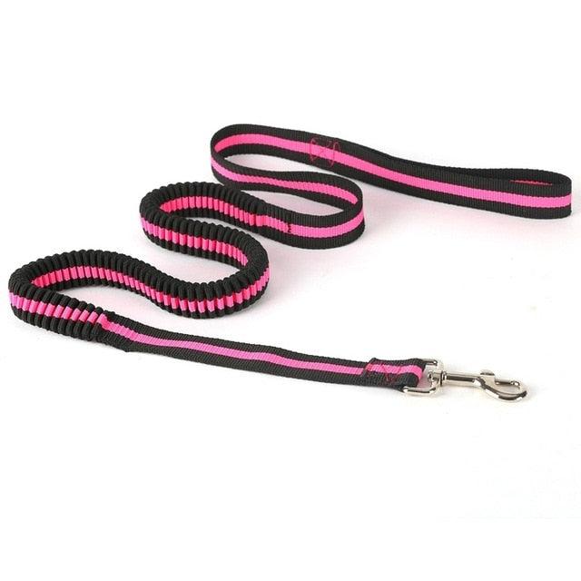 New Arrival Nylon Tactical Pet Dog Cat Lead Training Leash Elastic Bungee Canine Strap Rope Safety Belt (4W4)(2W1)(F75)