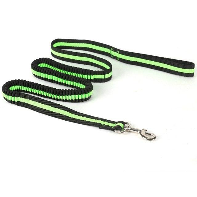 New Arrival Nylon Tactical Pet Dog Cat Lead Training Leash Elastic Bungee Canine Strap Rope Safety Belt (4W4)(2W1)(F75)