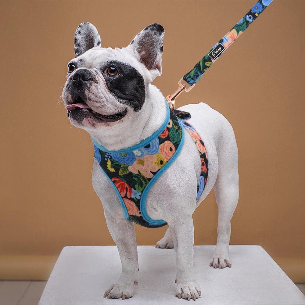 Nylon Dog Harness And Leash Set - Fashion Printed No Pull Pet Dog Harness Vest Lead (D70)(2W1)(3W1)