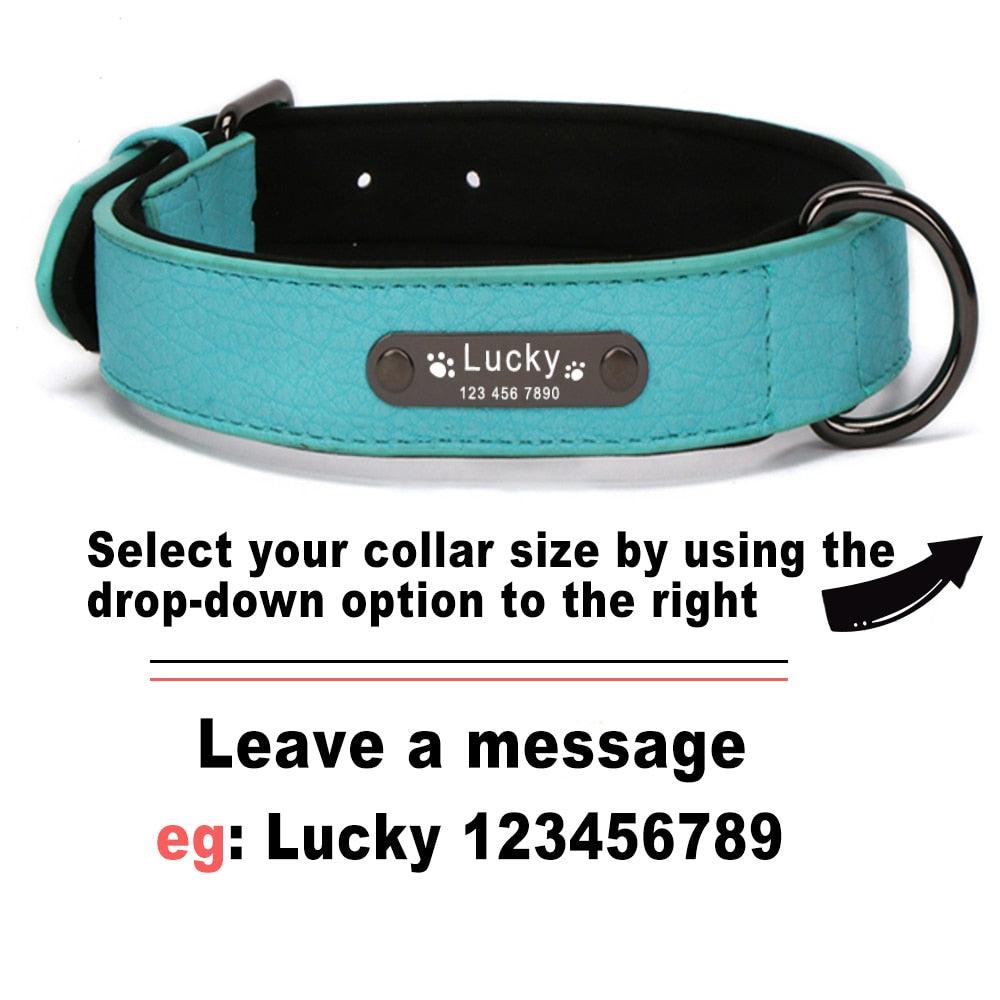Personalized Dogs Collars - Engraved Name Dog Collar for Large Small Dogs Puppy Custom Dog Name Collars (1W1)(F70)