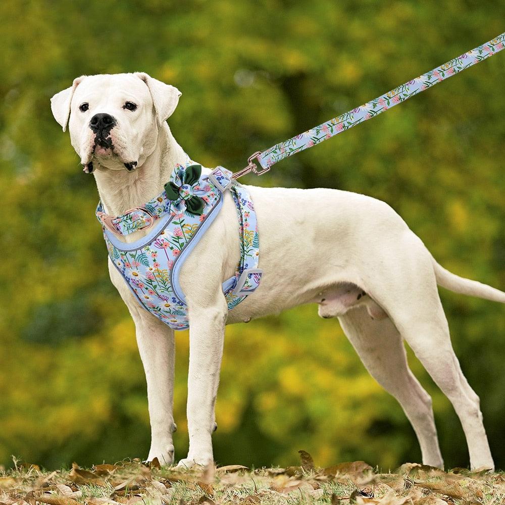 Personalized Nylon Dog Collar Harness Leash Set - Reflective Dog Vest Custom Pet ID Collars (1W1)(2W1)(3W1)