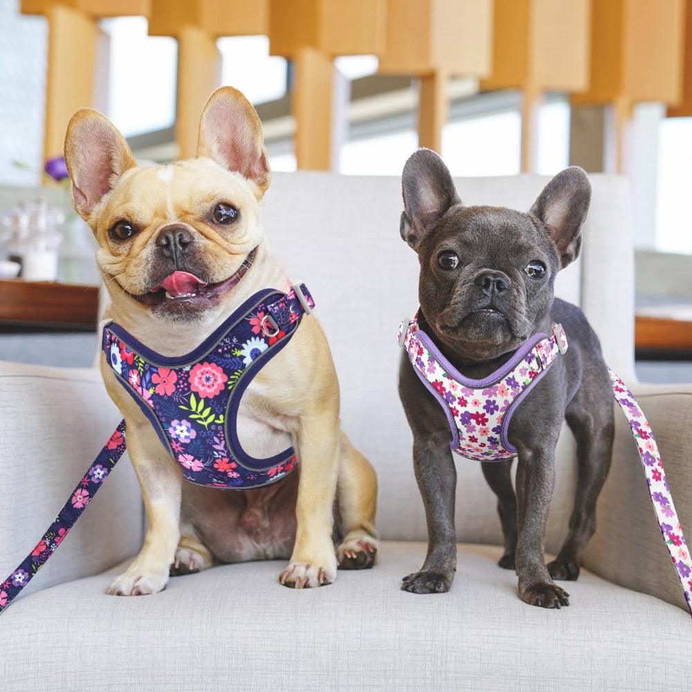 Reflective Nylon Dog Harness And Leash Set - Breathable Mesh No Pull Dog Vest Leash Fashion Printed French Bulldog Harness (3W1)(2W1)