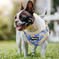 Soft Padded Pet Dog Harness Clothes - Printed No Pull Chihuahua Puppy Cat Harness Vest Leash (3W1)