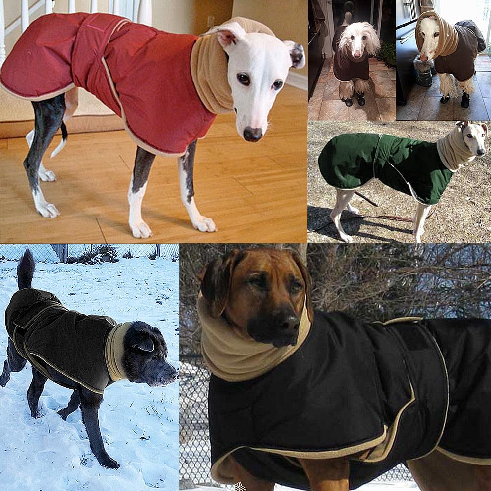 Super Warm Thick Dog Clothes - Waterproof Dog Coat Jacket For Medium Large Dogs (W1)