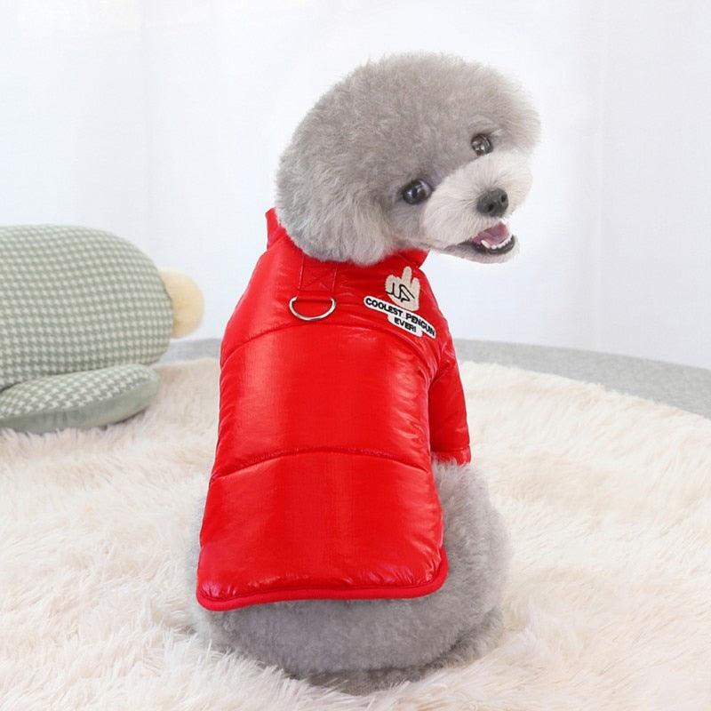 Winter Clothes For Dogs - Thicken Warm Puppy Pet Cat Dog Cotton-padded Coat - Waterproof Dog Jacket (2U69)