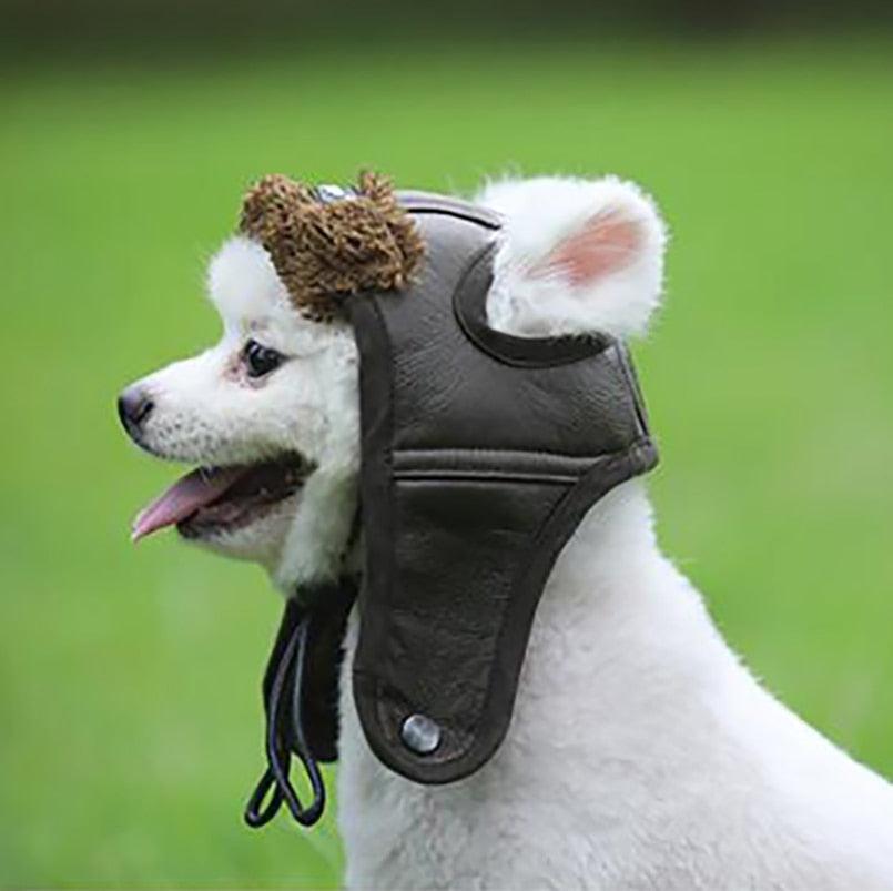 Winter Warm Pet Dogs Hat - Puppy Warm Comfortable Handsome Winter Cashmere (D69)(W6)