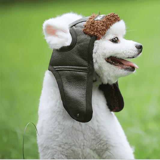 Winter Warm Pet Dogs Hat - Puppy Warm Comfortable Handsome Winter Cashmere (D69)(W6)