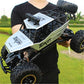Unique 4WD RC Car Updated Version - 2.4G Radio Control RC Car Toys - High speed Trucks (D2)(1X2)(3X2)(5X2)